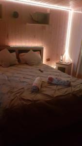 a bedroom with a large bed with two pillows at Welcoming home on the corner in Slănic