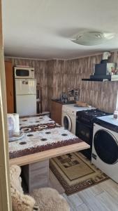 a kitchen with a counter with a stove and a microwave at Welcoming home on the corner in Slănic