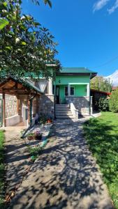 a green house with a pathway leading to it at Welcoming home on the corner in Slănic