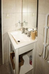 ein Badezimmer mit einem weißen Waschbecken und einem Spiegel in der Unterkunft DEPARTAMENTO cerca de CABA hasta 4 personas Parking Gratis Patio ideal familias estadias cortas por Trabajo Recitales Salud y Capacitaciones in Martínez