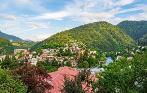 a town on a hill with a river and a city at Mountain Horizon in Borjomi