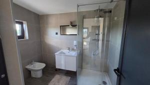 a bathroom with a shower and a sink and a toilet at Hangar Hangout by the Lake in Priles