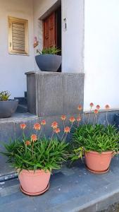 two pots of flowers on the steps of a building at Casa dell'Aloe in Angri