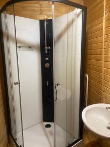 a shower with a glass door next to a sink at Chata Čertovy hlavy in Želízy