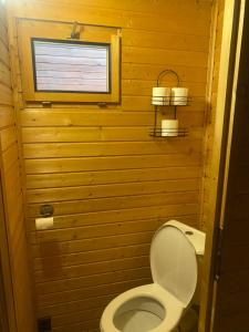 a toilet in a wooden bathroom with a window at Chata Čertovy hlavy in Želízy