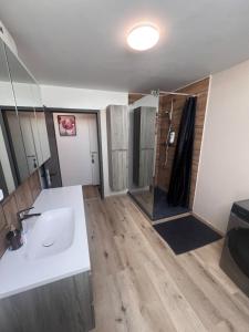 a bathroom with a sink and a shower at Victoria Prestige Parking Gratuit in Boussu +9 photos