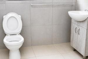 a bathroom with a toilet and a sink at The Grace and Hope House in Bunkers Hill
