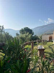 a garden with a fence and mountains in the background at Orgiva - La Alpujarra in Órgiva