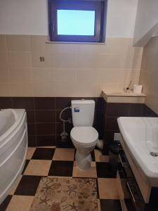 a bathroom with a toilet and a sink at Cărăbuș in Tuzla