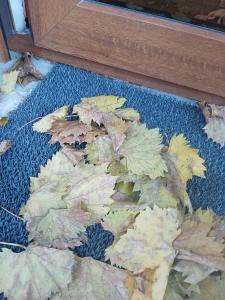 a pile of leaves on the floor next to a table at Cărăbuș in Tuzla