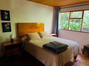 a bedroom with a bed with a pillow on it at Peaceful Mountain Experience - Coyote House in Poás