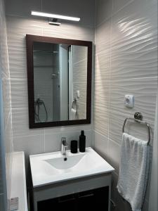 a bathroom with a white sink and a mirror at Studio Apartman M&S Apatin in Apatin