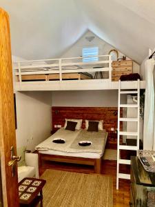 a bedroom with a bunk bed and a bunk bed gmaxwell gmaxwell gmaxwell at Thermal Corner Guesthouse in Alsópáhok