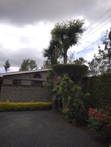 a house with a tree in front of it at SQ Acacia in Langata Rongai