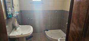 a small bathroom with a sink and a toilet at Villa Doda in Durrës