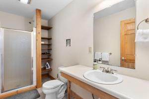 a bathroom with a toilet and a sink and a shower at Sugarbush Seclusion in Vermont in Waitsfield