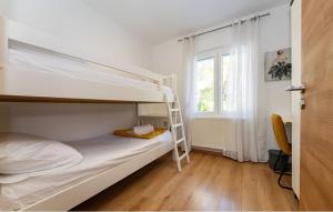 a bedroom with a bunk bed and a ladder at Apartman in Seline +17 photos