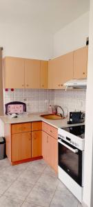 a kitchen with wooden cabinets and a sink and a stove at Polynikis Apartment in Nikiti +3 photos