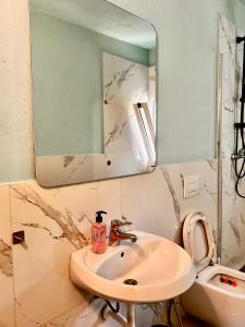a bathroom with a sink and a mirror and a toilet at Sekretet e Luginës Restaurant - Hostel - Camping in Vau i Dejës
