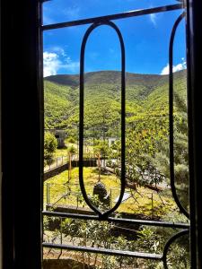 a window with a view of a green mountain at Sekretet e Luginës Restaurant - Hostel - Camping in Vau i Dejës