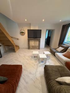 a living room with two couches and a fireplace at La Clef des Champs in Mecquignies