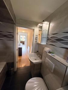 a small bathroom with a toilet and a sink at Ferienwohnung Winterzeit Thunersee&Mountainview in Thun +19 photos