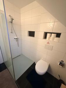 a bathroom with a toilet and a shower at GalerieLoft Winterzeit Thunersee&Mountainview in Thun +10 photos