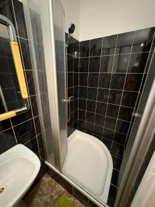 a small bathroom with a toilet and a sink at Noclegi Lux Nysa in Nysa