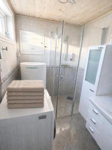 a bathroom with a shower and a toilet and a sink at D&C Norway in Kristiansand +13 photos