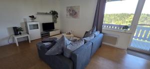 a living room with a blue couch and a tv at Auszeit im Grünen in Vohenstrauß