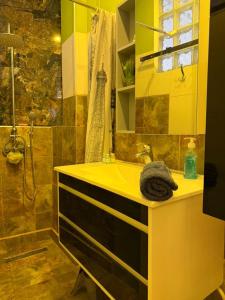a yellow bathroom with a sink and a shower at Le Havre, de joie in Alger +47 photos