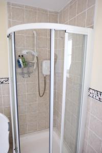 a bathroom with a shower with a toilet and a sink at Avalon in Bundoran
