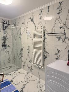 a bathroom with a shower and a glass door at Vila Dari in Tulcea +93 photos