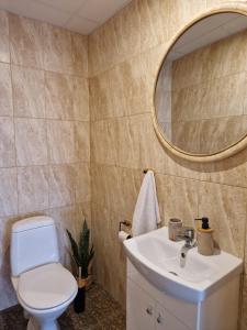 a bathroom with a toilet and a sink and a mirror at Raunex Apartment in Haapsalu +67 photos