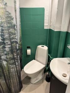 a green bathroom with a toilet and a sink at Lille Skovgaarden ved parken med gratis parkering in Randers +9 photos