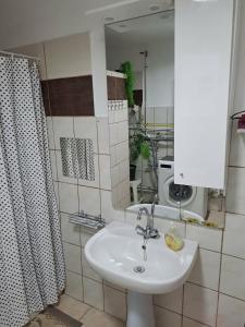 a bathroom with a sink and a mirror at Kisfaludy Vendégház in Abádszalók +28 photos