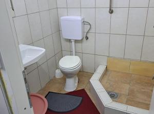 a small bathroom with a toilet and a sink at Rooms Đenadija in Hrvatska Kostajnica