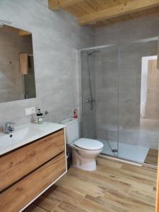 a bathroom with a shower and a toilet and a sink at RINCON DE MUTILOA Balcón del Aitzgorri HabTuristica in Mutiloa +8 photos