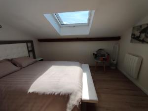 a bedroom with a bed and a skylight at La Mansarde étoilée in Saint-Marcellin