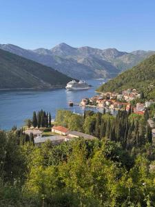 a cruise ship in a large body of water at HiL's Bay View Apartments in Tivat