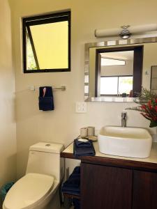 a bathroom with a toilet and a sink and a mirror at Luxury In The Jungle in Barú +67 photos