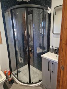 a shower in a bathroom with a toilet and a sink at Nivahana in Edinburgh