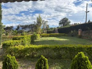a garden with a large lawn with bushes and trees at Santa Ana Campestre in Tinjacá