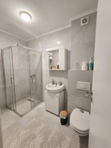 a bathroom with a shower and a toilet and a sink at Sara Luxe Family in Konjic +23 photos