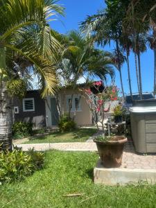 a yard with palm trees and a house at Los Machos surf shack in Ceiba