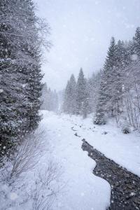 a snow covered road next to a river with trees at Appartement Swing in Mittelberg
