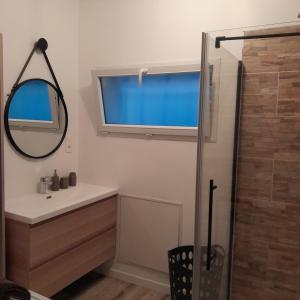 a bathroom with a sink and a mirror and a shower at Maison 3 chambres et jardin in Le Mans