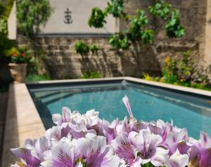 a bunch of purple flowers sitting next to a swimming pool at VILLA ADOYA Chambre d'hôtes Aigues-Mortes intra muros au calme climatisation réversible PISCINE WIFI ascenseur PARKING gratuit in Aigues-Mortes +26 photos