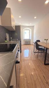 Kuhinja oz. manjša kuhinja v nastanitvi business Apartment A93-A9