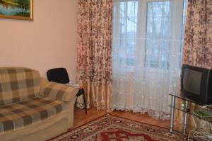 a living room with a couch and a television at Apartaments at Shevchenko 66 in Smolensk